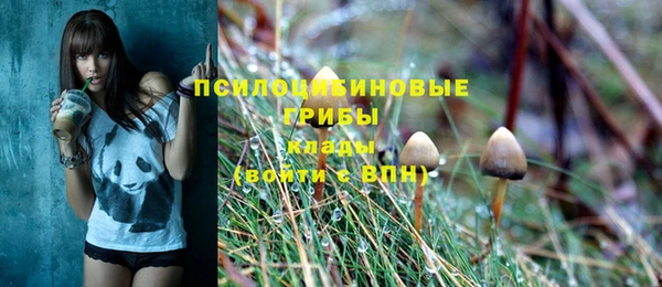 соль курить ск Касимов