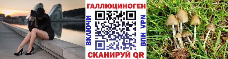 Галлюциногенные грибы ЛСД  Купить  Ефремов 